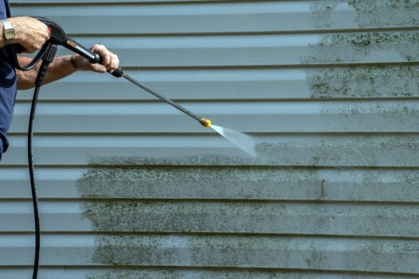 Best Roof Pressure Washing  in Arnaudville, LA